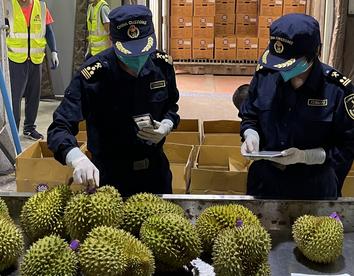 RCEP生效两周年 中国东盟产业合作不断深化