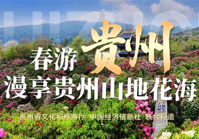 春游贵州 漫享贵州山地花海