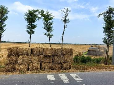 安徽庐江：开展秸秆综合利用  助力乡村振兴