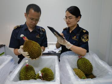 榴莲为媒  河南加速推进中马航空货运枢纽建设
