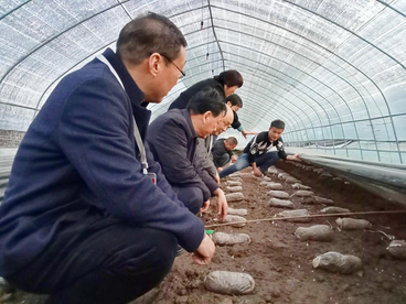 安徽怀远：羊肚菌“吞”废“生”金富乡村