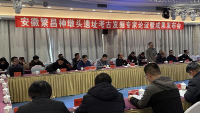 神墩头遗址考古发掘专家论证暨成果发布会在芜湖繁昌区召开