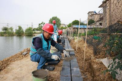 芜湖繁昌平铺镇：有力有序推进精品示范村建设
