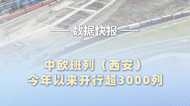 中欧班列（西安）今年以来开行超3000列