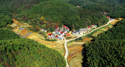 合肥庐江龙桥镇：民宿“破圈” 点亮乡村“钱景”