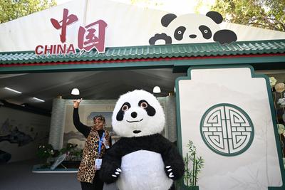 宜打造“小而美”湿地治理示范项目加快绿色产业出海
