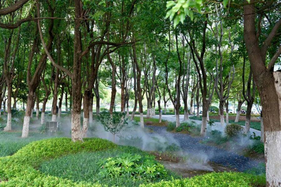 城市密林变身童话森林  合肥蜀山“雾森绿谷”美出圈
