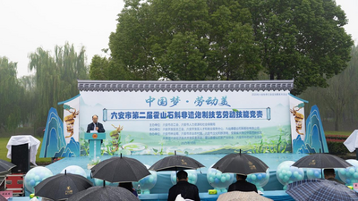 六安市第二届“霍山石斛非遗炮制技艺”劳动技能竞赛顺利完赛