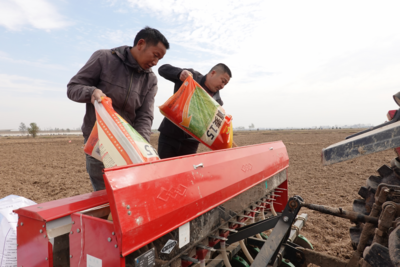 安徽霍邱：秋种攻坚正酣  科技助农保丰收