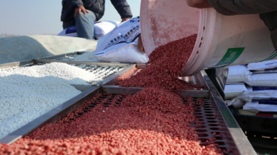 安徽宿州埇桥区：田间“铁牛”忙  秋种正当时