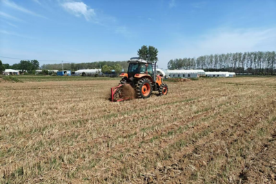 安徽固镇县王庄镇：不误农时抢墒情  齐心聚力促丰收