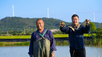巢湖烟草：帮扶官塘村蹚出产业振兴路
