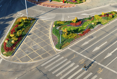 合肥高新区：街角交通岛焕新  邂逅“花漾”出行时光