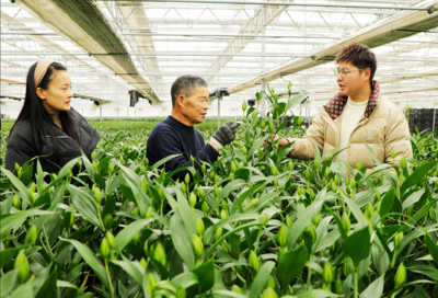 阜阳市颍东区：送“技”到田间 增收有底气