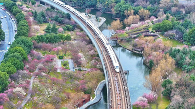 合肥：一城花事，何以“育人”又“润城”？