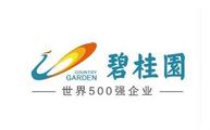 Property giant Country Garden sees profit, revenue rise in 2018