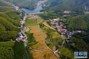 China issues report on implementation of rural vitalization strategy 