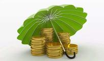 China's green bond issuance increases in 2019: report