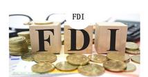 China largest FDI recipient in 2020 amidst global plunge -- UNCTAD report
