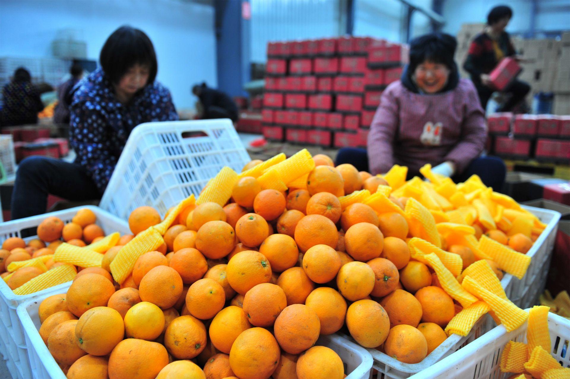 China's weekly farm produce prices slightly rise Xinhua Silk Road