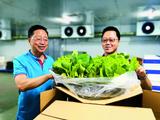 Humble veggie stall sows business empire