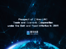Prospect of China-UAE Trade and Economic Cooperation under the Belt and Road Initiative in 2019