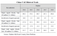 China-UAE economic and trade cooperation: bilateral economic trade sees rapid growth