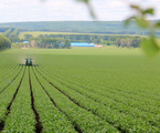 China vows to step up support for spring farming