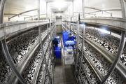 China strives to achieve high-quality development of agriculture