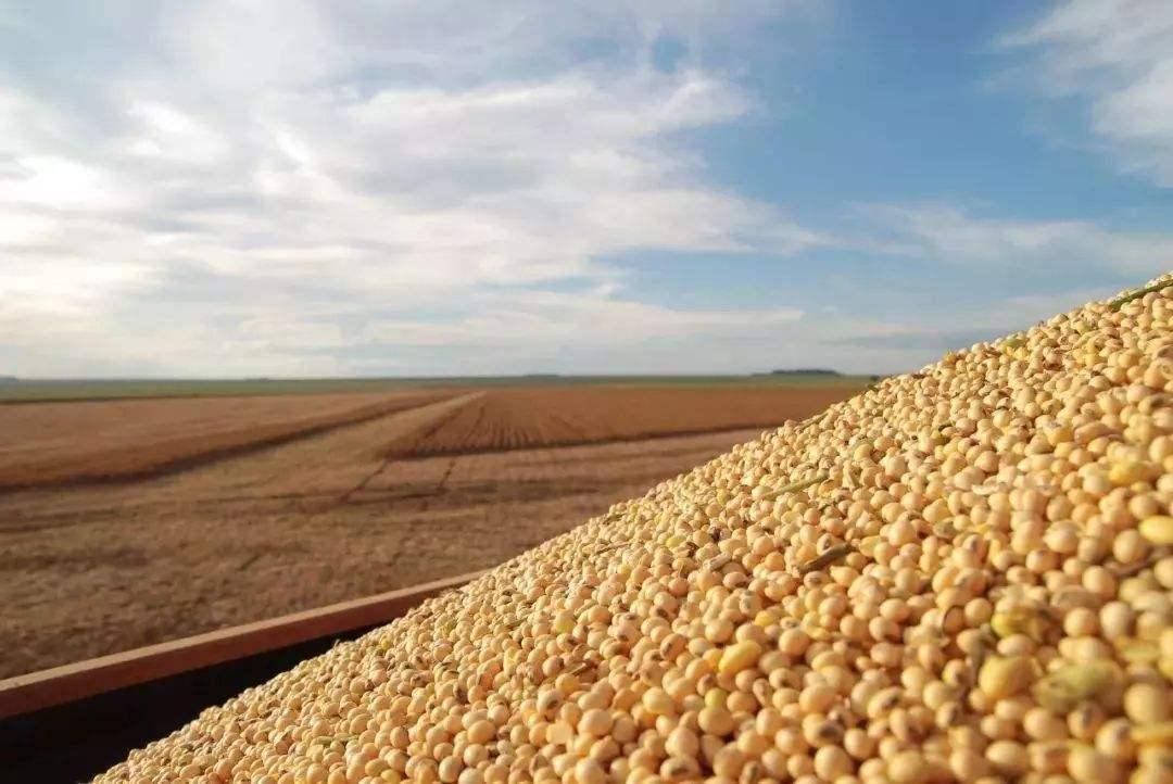 china working on tax exemptions for u.s. soybean, pork imports