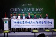Chinese energy firms call on more efforts to fight against climate change at COP25