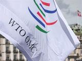 U.S., China, Germany benefit most from WTO membership: study