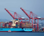  China-U.S. trade deal helps reduce some uncertainties: UN chief economist