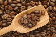 China Focus: China's coffee consumption upgrading speeds up industrial layout