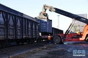 China's railway cargo transport rises in January