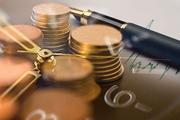 Local gov't bonds worth 785 bln yuan issued in January