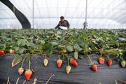 China stresses winning battle against poverty while fighting epidemic