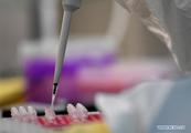 Chinese vice premier stresses prevention, control of epidemic sources
