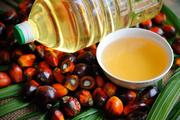 China's palm oil imports down 23.7 pct in December 2019
