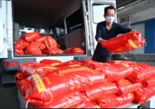 Economic Watch: China seizes the spring to ensure steady food supply 