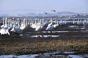 China ups incentive for local river, lake protection