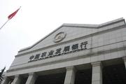 China's rural policy bank issues bonds for epidemic control