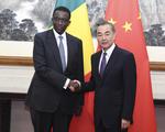 Chinese, Senegalese FMs discuss fight against epidemic of novel coronavirus pneumonia