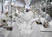 Coronavirus impact on Chinese economy limited to first quarter: analysts