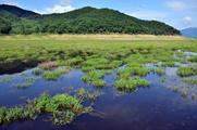 China to establish modern environmental governance system 