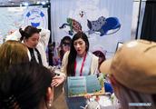 Feature: Turning recycled bottles into plush toys, with a helping hand from China