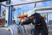 China's production of gas, crude keeps growing in first two months