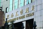 China's forex market shows stability amid epidemic