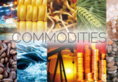 China imports more major commodities amid improving economic activity