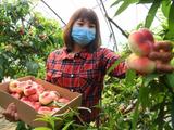 Impact of COVID-19 pandemic on Chinese agricultural product market limited: analysis